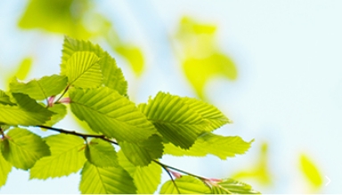 可持續(xù)發(fā)展