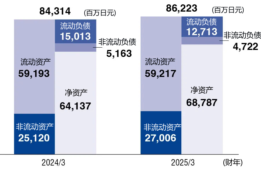 合并資產(chǎn)負債表概要