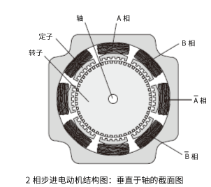 2相電動(dòng)機(jī)結(jié)構(gòu)圖：與軸垂直的剖面圖